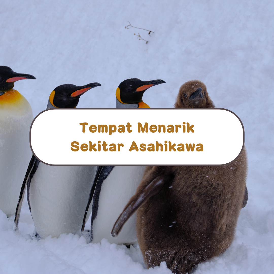 Tempat Menarik untuk Dilawati di Sekitar Asahikawa