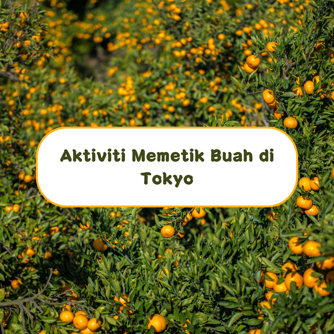 Aktiviti Memetik Buah di Tokyo