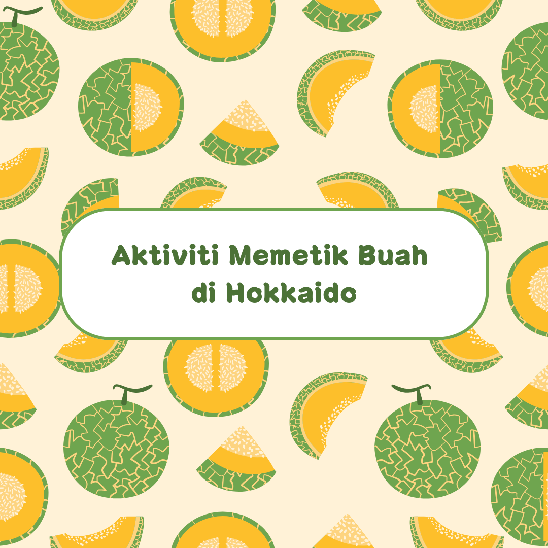 Aktiviti Memetik Buah di Hokkaido