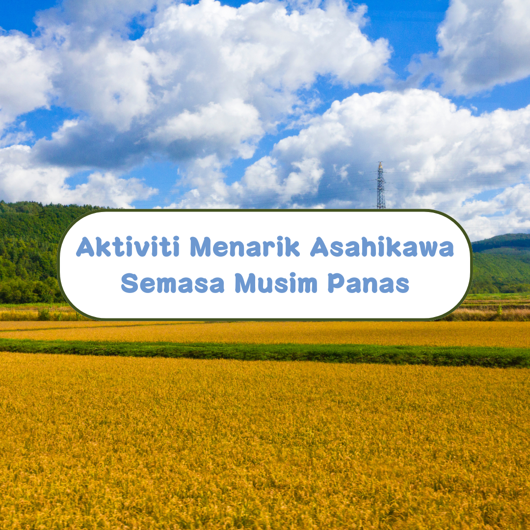 Aktiviti Menarik di Asahikawa Semasa Musim Panas