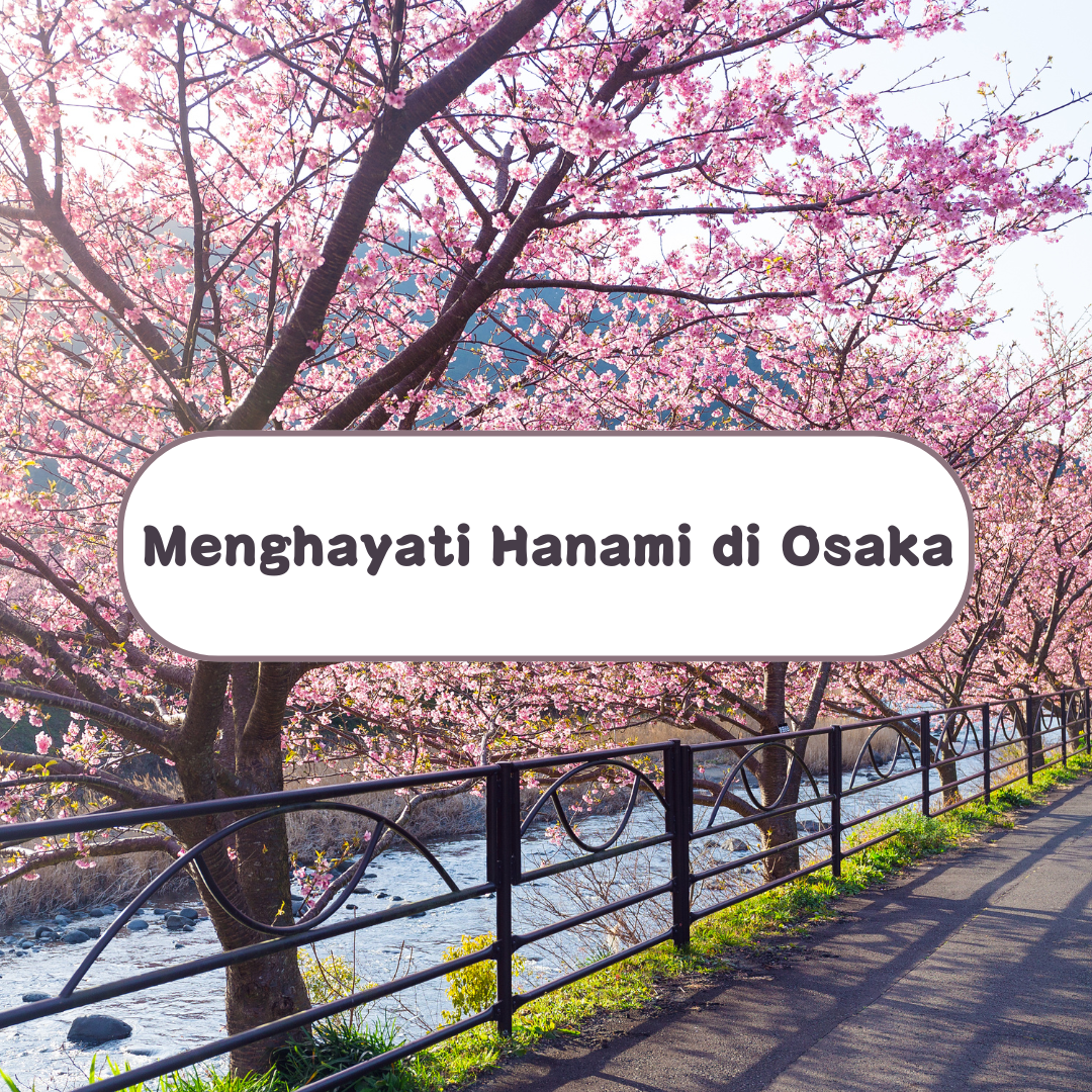Pengalaman Hanami di Osaka : Menghayati Tradisi Sakura Jepun dengan Cara yang Berbeza