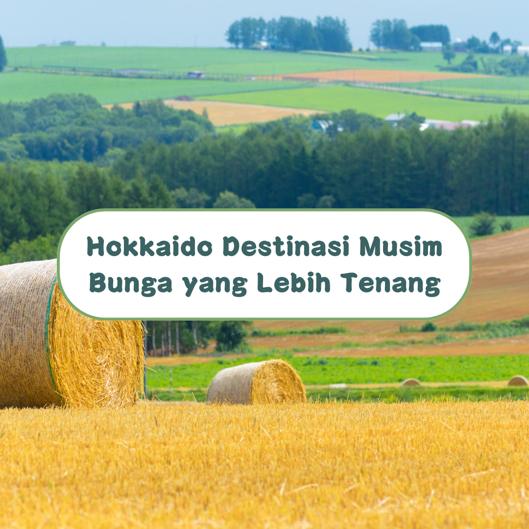 Hokkaido Destinasi Musim Bunga yang Lebih Tenang