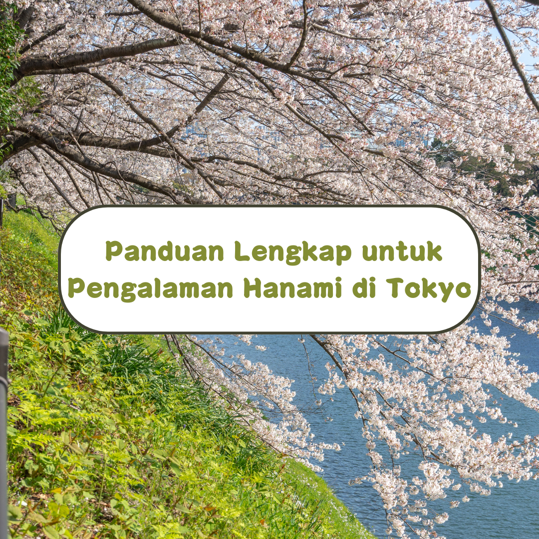 Musim Bunga di Tokyo : Panduan Lengkap untuk Pengalaman Hanami yang Sempurna