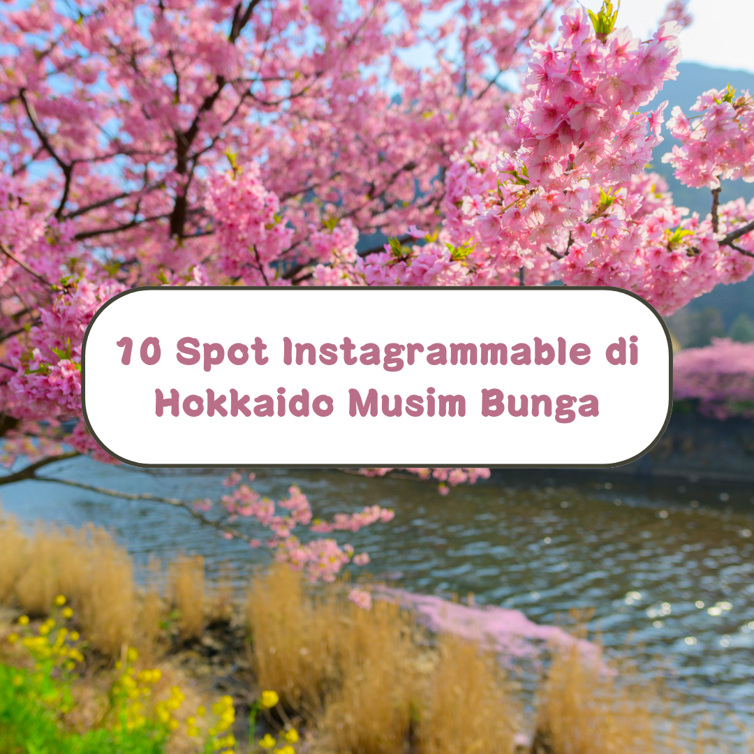 10 Spot Instagrammable di Hokkaido Semasa Musim Bunga