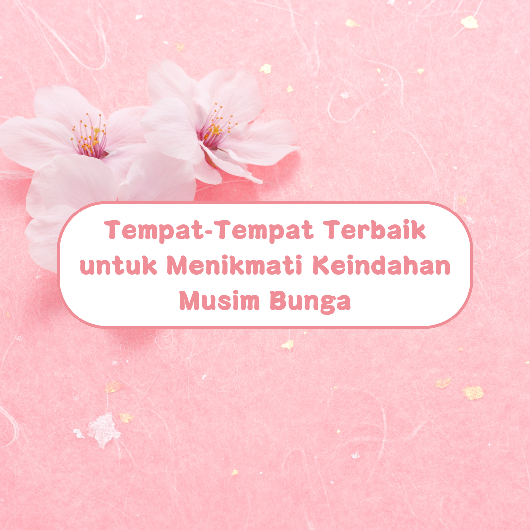 Tempat-Tempat Terbaik untuk Menikmati Keindahan Musim Bunga