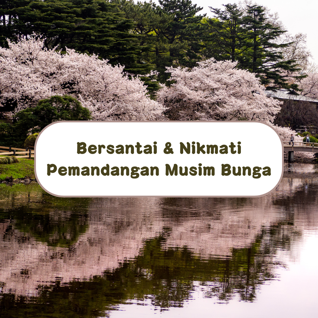 Bersantai di Taman Sakura Tokyo: Tempat Terindah untuk Nikmati Pemandangan Musim Bunga