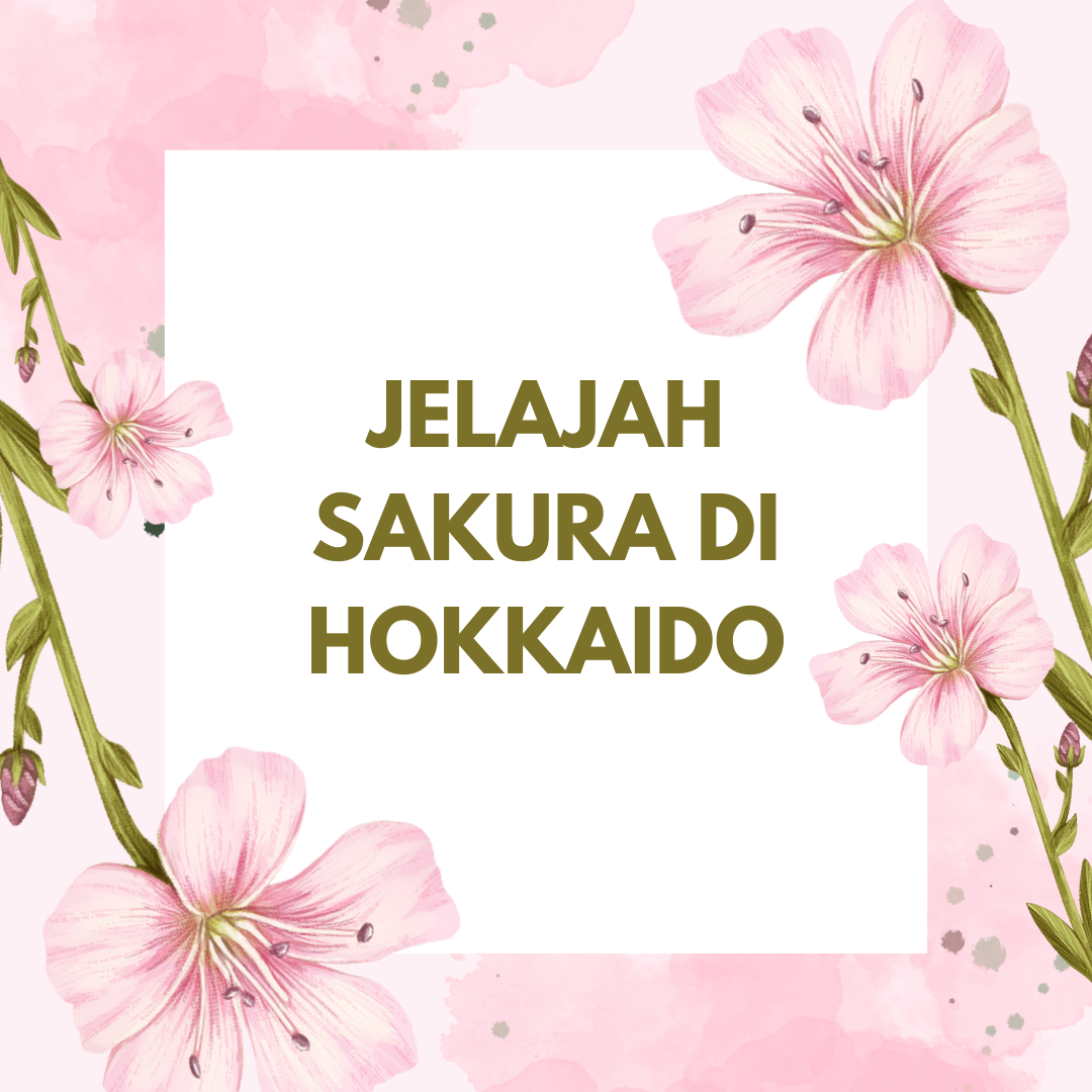 Jelajah Sakura di Hokkaido : Tempat Tersembunyi dan Festival Musim Bunga